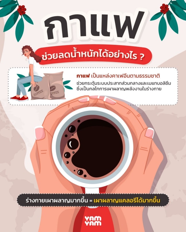 กาแฟลดน้ําหนัก 7-11 ยี่ห้อไหนดี ? แนะนำ 10 แบรนด์อร่อย และปลอดภัย